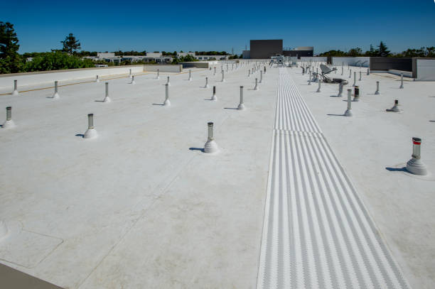 Best Roof Coating and Sealing  in Ferris, TX